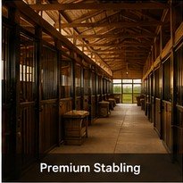 IETA default gallery