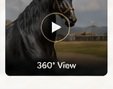 360° Preview