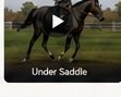 Under Saddle