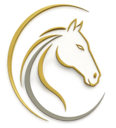 India's Premier Horse Marketplace