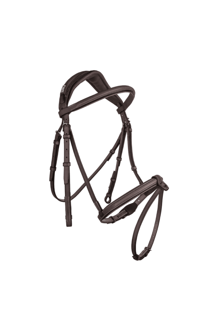 CWD Anatomic French Noseband Bridle – Precision, Comfort & Elegance