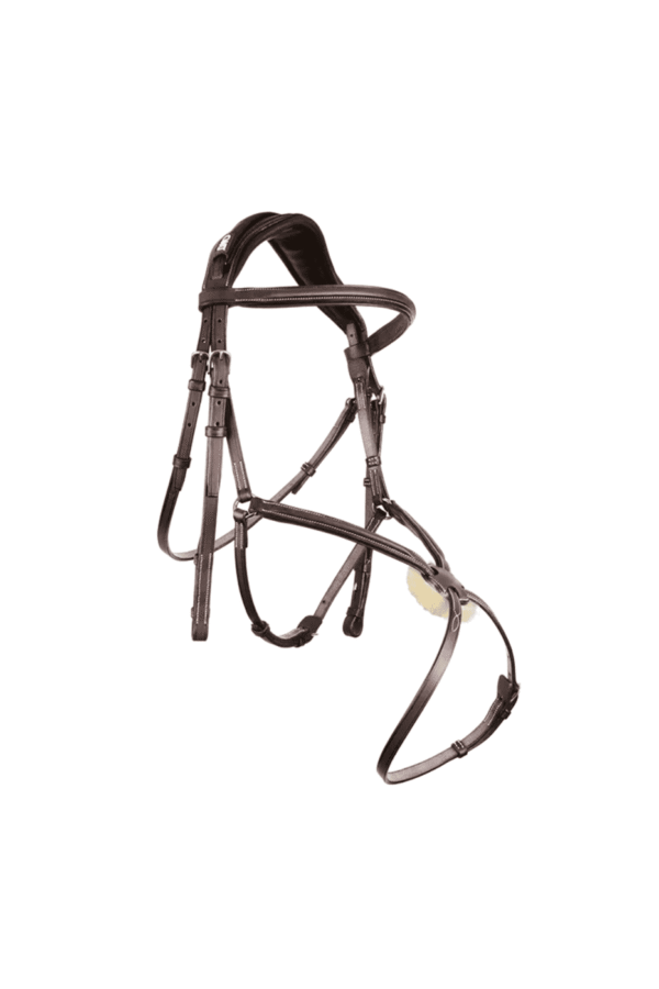 CWD Anatomic Figure-8 Bridle – Precision & Comfort